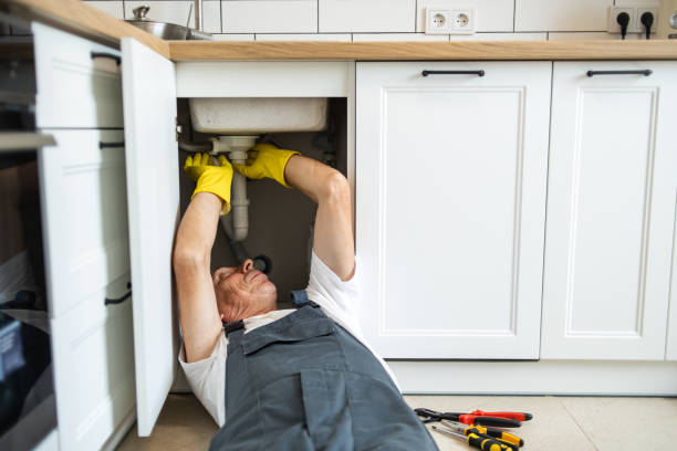  Berrien Springs, MI Plumbing Services Pros